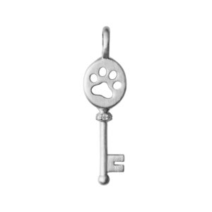 ByBiehl Unlock Power vedhæng i sølv med cz