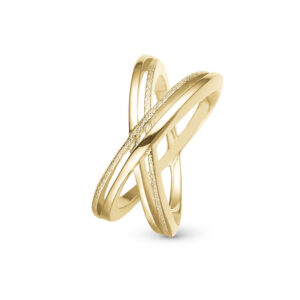 Christina Jewelry Multi Energy ring i forgyldt