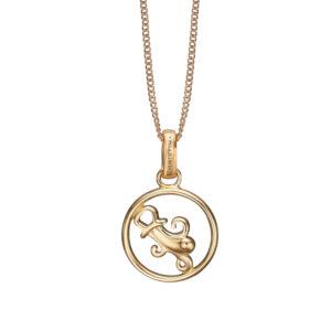 Christina Jewelry forgyldt stjernetegn vandmanden vedhæng