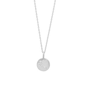 Joanli EstelNor sølv Tyr stjernetegn halskæde