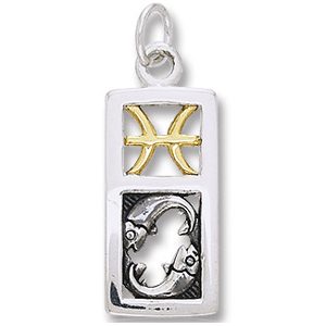 Vedhæng Fiskene Stjernetegn - 26mm - u/kæde