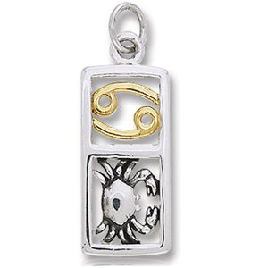 Vedhæng Krebsen Stjernetegn - 26mm - u/kæde