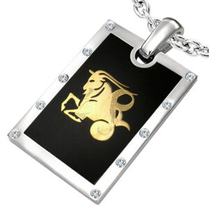 Vedhæng Stenbukken Stjernetegn Stål - 44mm - u/kæde