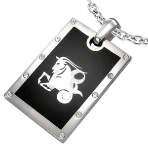 Vedhæng Stenbukken Stjernetegn Stål - 44mm - u/kæde