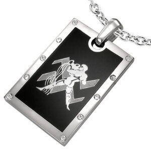 Vedhæng Vandbæreren Stjernetegn Stål - 44mm - u/kæde