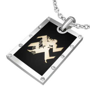 Vedhæng Vandbæreren Stjernetegn Stål - 44mm - u/kæde