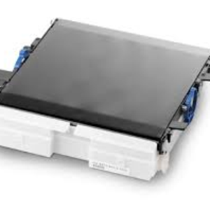 Belt unit C310 - OKI Original -